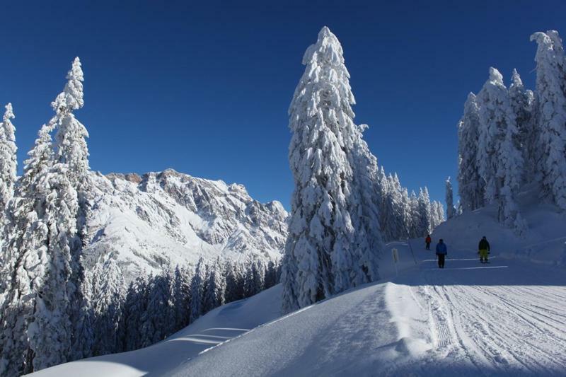 Апартаменты Am Berg 34 Мариа-Альм Экстерьер фото